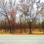 Caddo Parish Residential land for sale