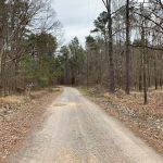 Investment land for sale in Morehouse Parish