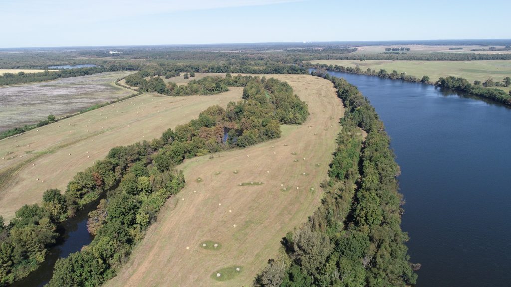 Louisiana hay field near Red River for sale