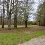 Rapides Parish Timberland property for sale