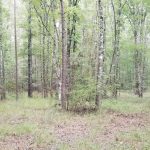Recreational property for sale in Caldwell Parish