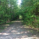 Investment property for sale in Little River County