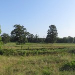 Investment property for sale in DeSoto Parish