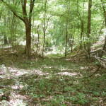 Recreational property for sale in West Feliciana Parish