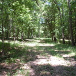 Recreational land for sale in West Feliciana Parish