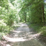 Timberland for sale in West Feliciana Parish