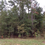 Investment property for sale in Red River Parish