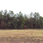Investment land for sale in Red River Parish