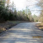 Saline County Investment land for sale
