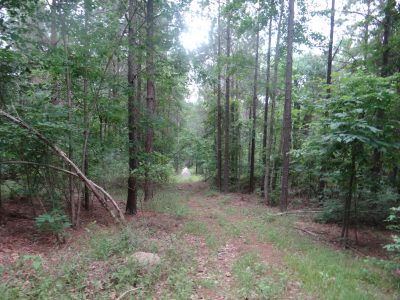 Residential property for sale in Webster Parish