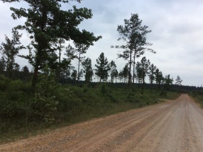 Natchitoches Parish Investment land for sale
