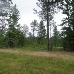 Bienville Parish Residential property for sale
