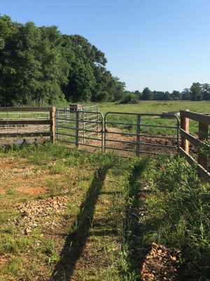 Lafayette County Agricultural land for sale