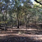 Caldwell Parish Investment property for sale