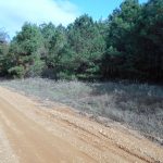 Commercial land for sale in Columbia County