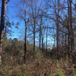 Investment property for sale in Grant Parish