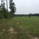 Bossier Parish Investment property for sale