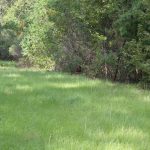 Investment land for sale in Bossier Parish