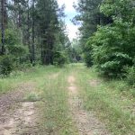 Investment property for sale in Webster Parish