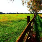 Caddo Parish Agricultural land for sale