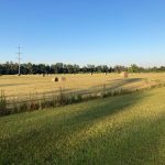 Agricultural property for sale in Winn Parish