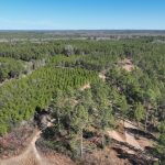 Recreational land for sale in Red River Parish