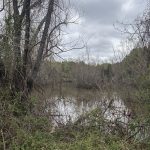 Lafayette County Recreational land for sale
