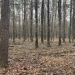 Recreational property for sale in Lafayette County
