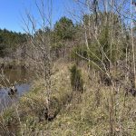 Hempstead County Hunting property for sale