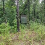 Timberland property for sale in Red River Parish