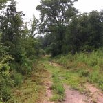 Development land for sale in Natchitoches Parish