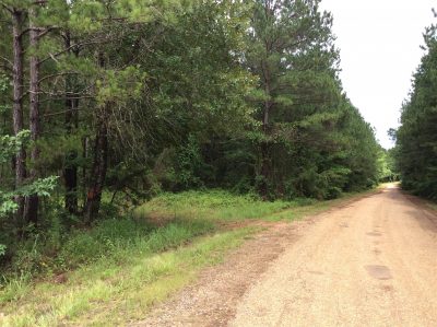Timberland property for sale in Natchitoches Parish
