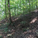 Timberland property for sale in Lincoln Parish