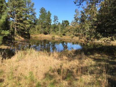 Recreational property for sale in Nevada County