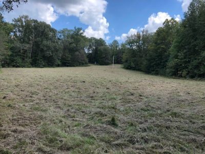 Investment property for sale in Holmes County