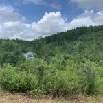 Investment land for sale in Hot Spring County