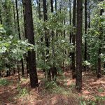 Development land for sale in Hot Spring County