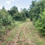 Hot Spring County Investment land for sale