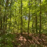 Recreational property for sale in Hot Spring County