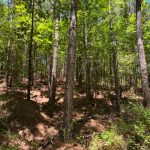 Investment property for sale in Hot Spring County