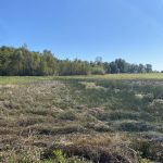 Development property for sale in Miller County