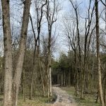 Hempstead County Recreational land for sale