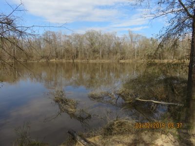 Recreational land for sale in Union County