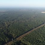 Caddo land for sale