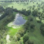 Natchitoches Parish Hunting land for sale