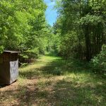 Lincoln Parish Hunting land for sale