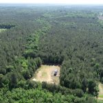 Hunting land for sale in Lincoln Parish