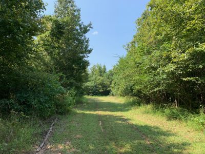 Ashley County Recreational land for sale