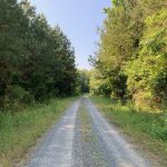 Timberland property for sale in Lincoln County
