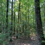 Lincoln County Recreational property for sale